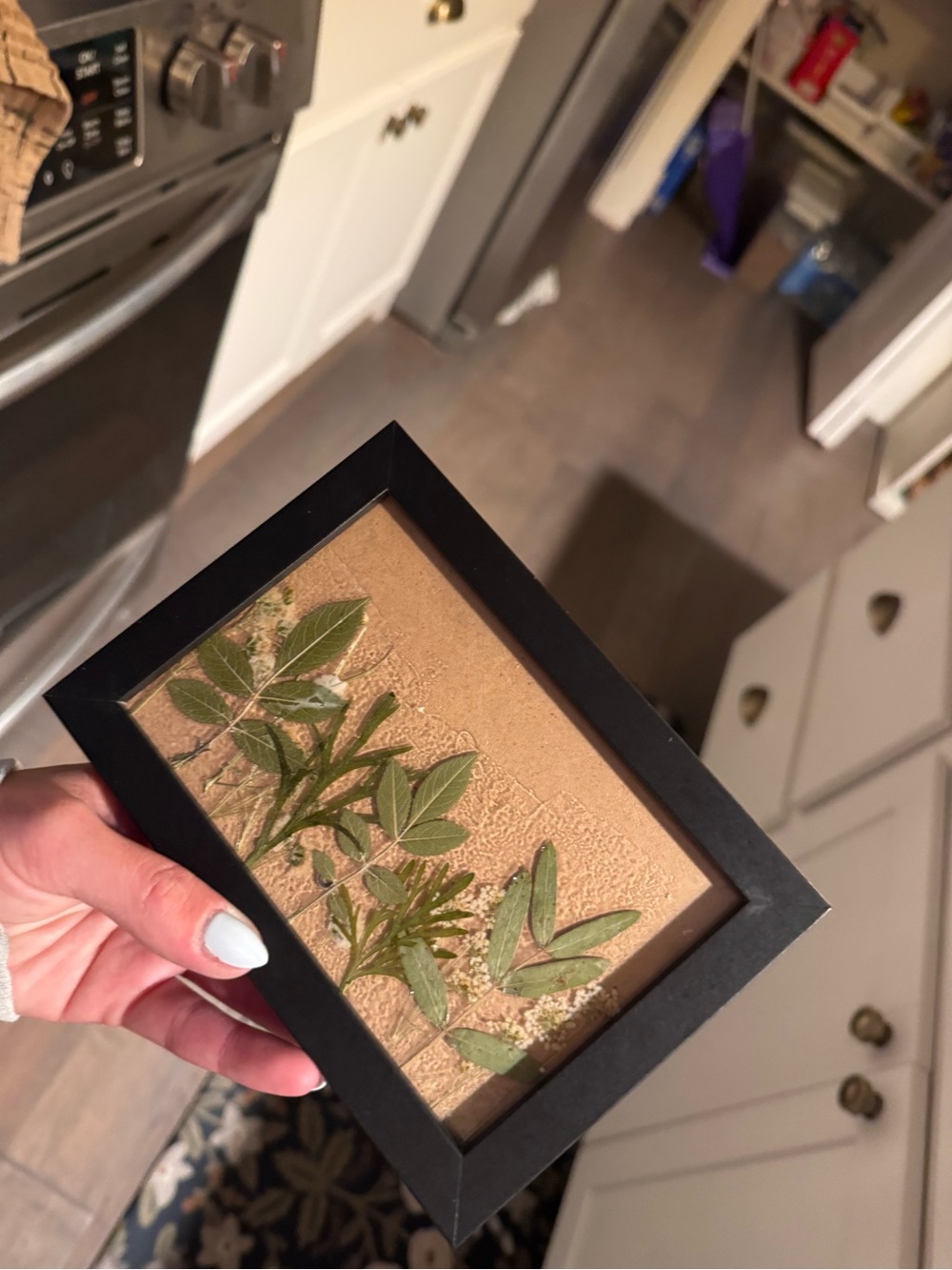 Black Framed Pressed Botanical Art - Green Leaves Accent